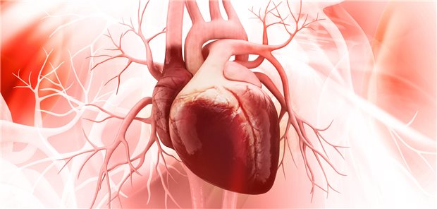 „Patienten mit Gicht zeigten ein überschießend erhöhtes Risiko für eine breite Palette kardiovaskulärer Erkrankungen, und zwar über den Bereich atherosklerotischer Krankheiten hinaus“, resümieren Ferguson et al. ihre Studienergebnisse. Die höchsten Risiken hätten Frauen und jüngere Patienten getragen.