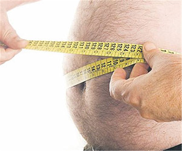 Dicker Bauch stützt schwaches Herz Patienten mit Herzinsuffizienz profitieren von Übergewicht. Wirken die höheren Lipoproteinspiegel entzündungshemmend?