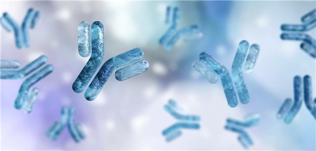 Patienten mit atopischer Dermatitis, die mit dem monoklonalen Antikörper Dupilumab gegen die Alphakette des Interleukin-4-Rezeptors behandelt wurden, wiesen eine 4,1-mal so hohe Erkrankungsrate an kutanen T-Zell-Lymphomen auf wie Patienten ohne Dupilumabtherapie.