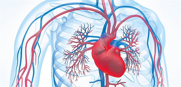 Patienten mit stummen Myokardinfarkten sind genauso zu behandeln wie Patienten mit symptomatischen Infarkten.