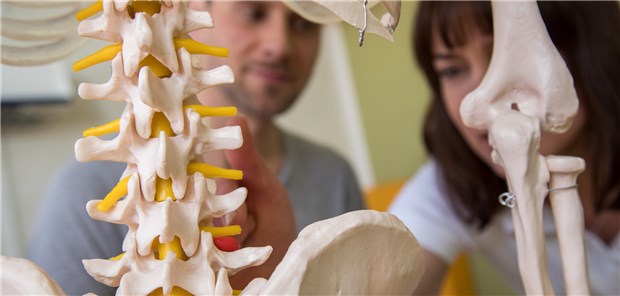 Bei Rückenschmerz mit einer Stimme sprechen Patientenschulung zu Rückenschmerz am Modell: In vielen Leitlinien wird eine spezielle Schmerzedukation empfohlen.