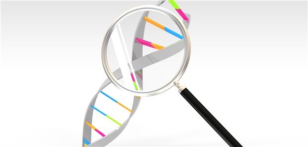 Diagnostika-Industrie fordert: Mehr Spielraum für Personalisierte Medizin! Personalisierte Medizin soll in der Onkologie künftig eine noch größere Rolle spielen.