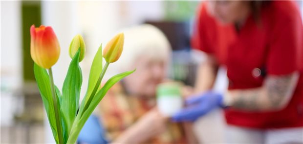 Im Vordergrund ein Blumenstrauß, im Hintergrund sitzt eine pflegebedürftige Frau in ihrem Zimmer, versorgt von einer Pflegefachkraft.