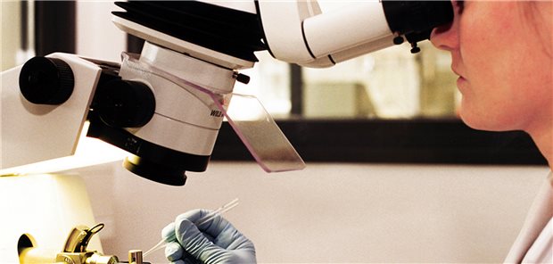 Pharmaforschung muss sich lohnen. In Deutschland sind die Chancen zur schnellen Refinanzierung besonders hoch.