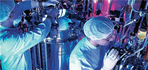 Pharmazeutische Biotechproduktion – hier sind hochqualifizierte Facharbeiter gefragt.