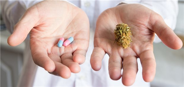 Pille oder Gras? Mit dem geplanten Cannabisgesetz rücken auch medizinische THC-Anwendungen der Normalität ein Stück näher.
