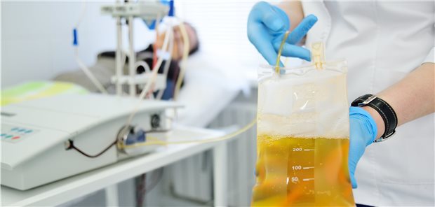 Plasma von Genesenen soll schwere COVID-19-Verläufe bei Patienten lindern.