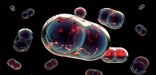 Älteste Pockenviren entdeckt Pocken könnten deutlich jünger sein als bisher angenommen. Im Bild: das 3D-Modell eines Pockenvirus'.
