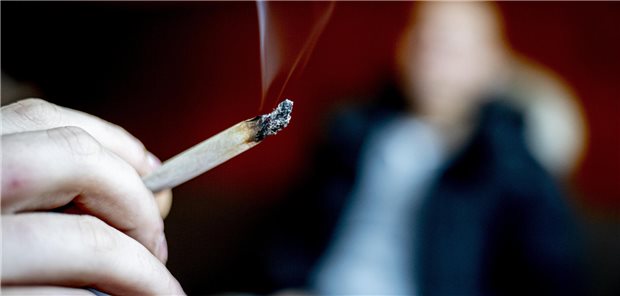 Union will namentliche Abstimmung zu Cannabis-Gesetz herbeiführen Mann mit Joint