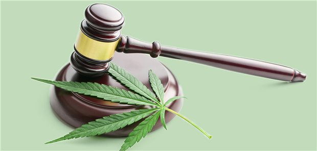 Stimmungsbild: An Rhein und Saar hinterlässt Cannabis-Freigabe noch kaum Spuren Polizei und Rechtsprechung müssen sich nach der Cannabisfreigabe erst einmal orientieren, wo es jetzt langgeht.