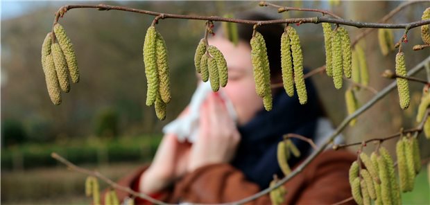 Pollen fliegen, die Nase juckt, die Augen kribbeln - welche Therapie wirkt?