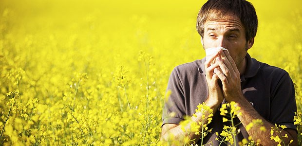 Ganzjährige SIT hilft besser als Kurzzeittherapie Pollen liegen nur zeitweise in der Luft - die Immunisierung aber sollte offenbar über das ganze Jahr erfolgen.