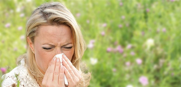 Pollenallergien breiten sich immer mehr aus.