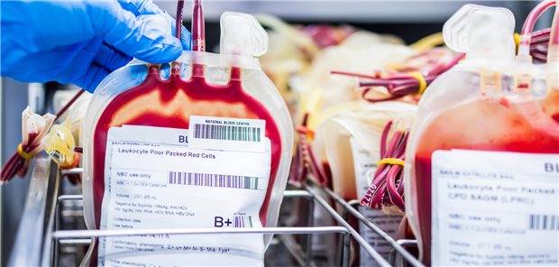 Portioniertes Spenderblut in einer Blutbank