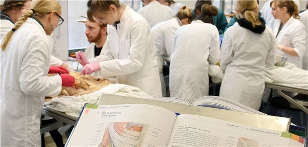 Medizinstudierende in Corona-Zeiten: „Redet mit uns!“ Präparieren oder Versorgung? Medizinstudenten stehen angesichts Corona vor der Herausforderung, beides zu tun.