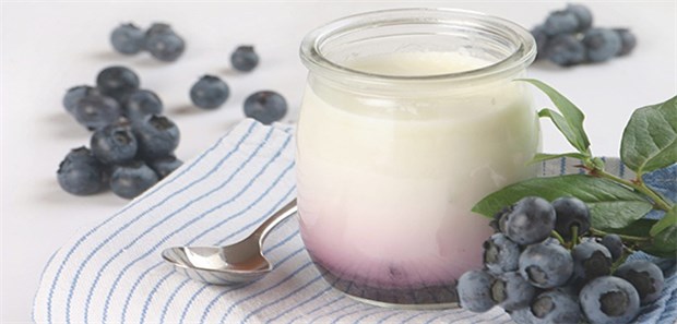 Mit zwei Joghurt am Tag gegen Clostridium-Infektion Probiotischer Joghurt kann bei der Prävention gegen Infektionen helfen.