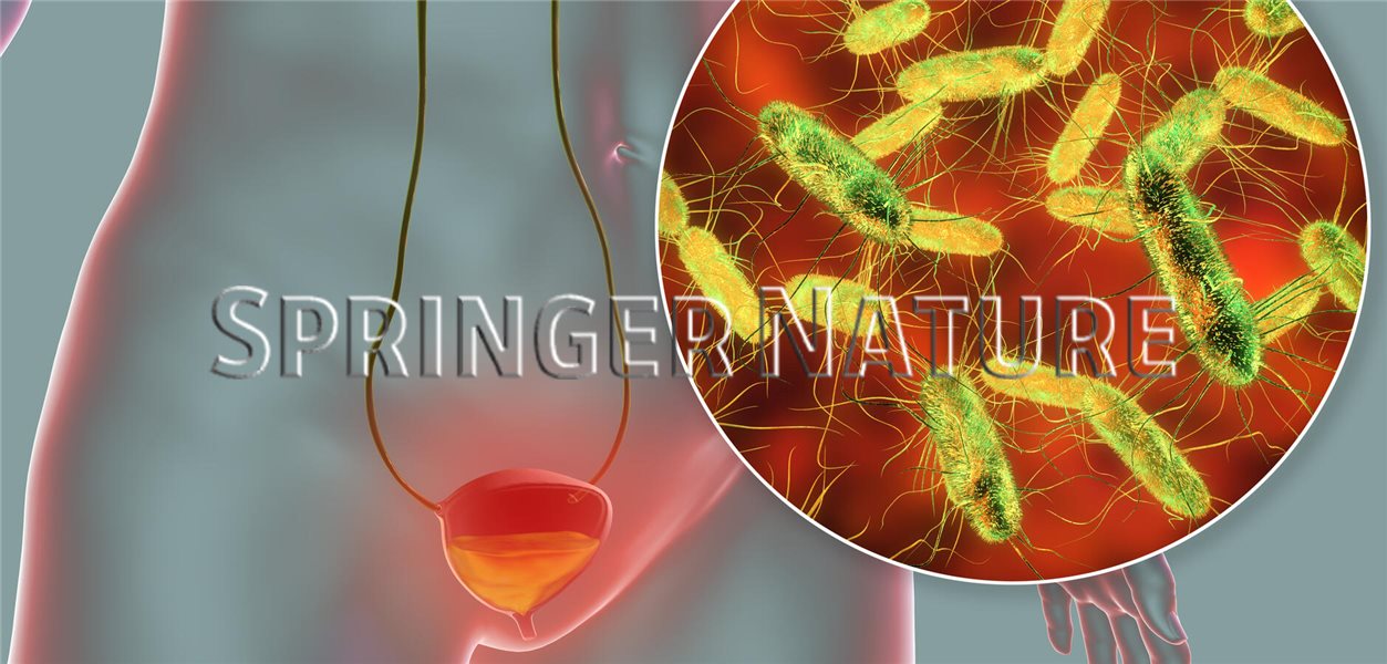 Auf Antibiotika verzichten? Was bei unkomplizierter Zystitis hilft