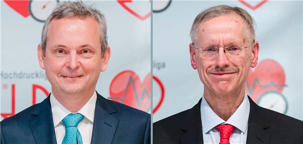 Hochdruckliga ehrt Wissenschaftler für Verdienste Professor Jens Titze (li.) und Professor Walter Zidek werden von der Deutschen Hochdruckliga für ihre Verdienste in der Hypertonieforschung geehrt.