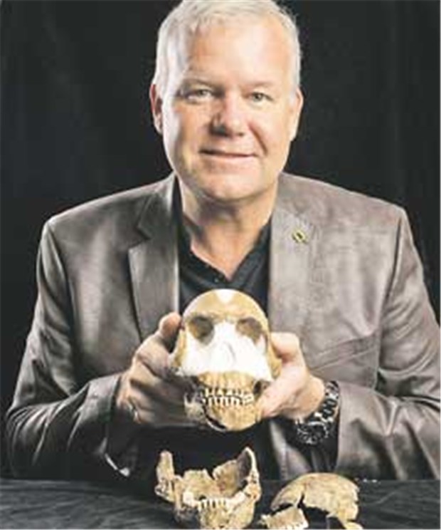 Professor LeeBerger von der University of the Witwatersrand, zeigt den Schädel der entdeckten Menschenart Homo naledi.
