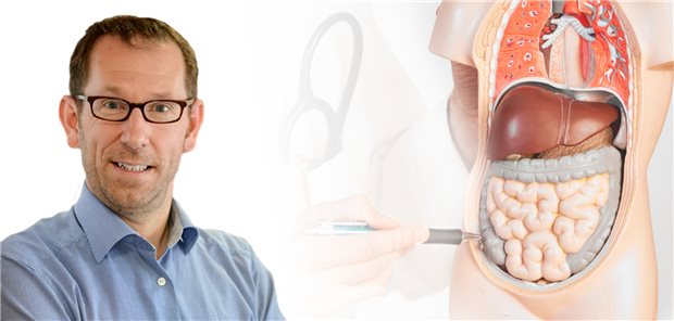 Professor Martin Storr