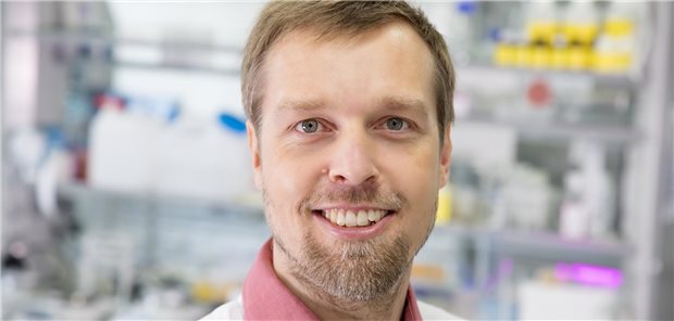 Sander Bekeschus übernimmt neue Sektion für Plasmamedizin an der Unimedizin Rostock Professor Sander Bekeschus