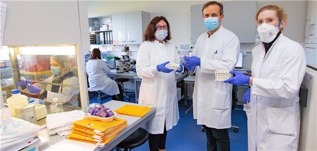 MHH-Forscher entwickeln Therapie gegen seltene Enzephalopathie Professorin Britta Eiz-Vesper, Professor Thomas Skripuletz und Privatdozentin Dr. Franziska Hopfner (v.l.) mit Blutproben im Labor für T-Zell-Routinekontrolle des Instituts für Transfusionsmedizin und Transplantat Engineering an der Medizinischen Hochschule Hannover (MHH).