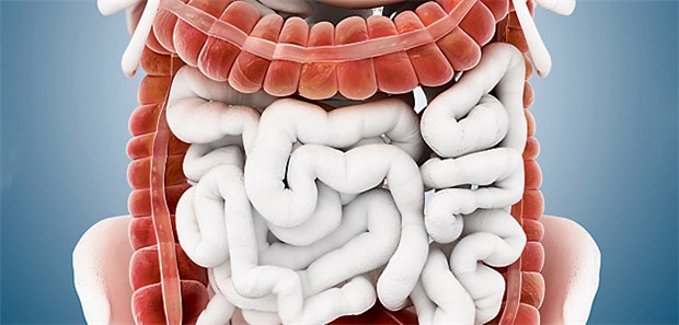 Proktitis, linksseitige oder ausgedehnte Colitis ulcerosa? Das Befallsmuster bestimmt die Therapie.