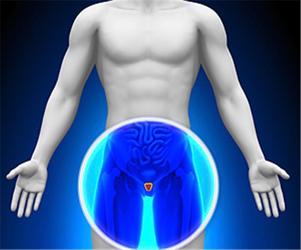 Votum gegen PSA-Screening zeigt Wirkung Prostata und dort lokalisierte Malignome im Fokus: Welchen Nutzen hat PSA-Screening?