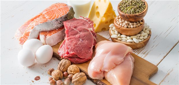 Protein, egal ob aus pflanzlichen oder tierischen Quellen, sollte auch in der Ernährung älterer Menschen mit einer chronischen Nierenerkrankung nicht fehlen, schreiben schwedische Forscherinnen und Forscher.