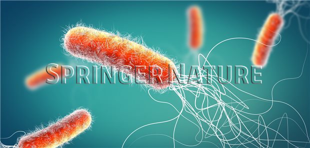 Möglicher Wirkstoff gegen Pseudomonas aeruginosaInfektion entwickelt