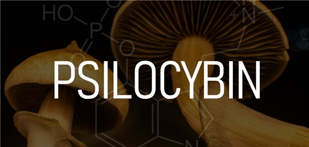 Psilocybin ist ursprünglich ein Wirkstoff aus halluzinogenen Pilzen.