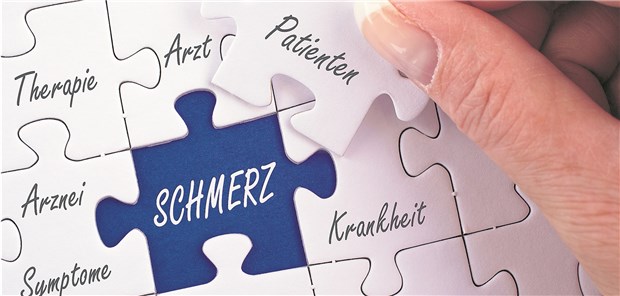 Kommt der Facharzt für Schmerzmedizin? Puzzlespiel: Die Versorgung von Schmerzpatienten ist ein gesundheitspolitischer Dauerbrenner.