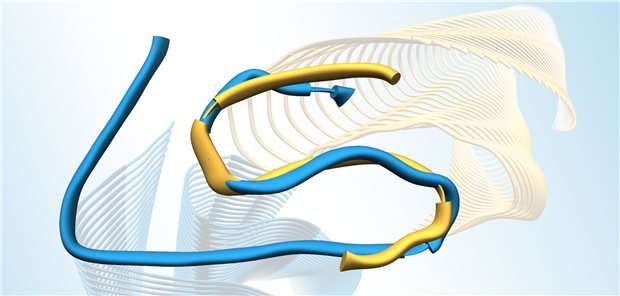 Was Alzheimer und Diabetes gemeinsam haben könnten Querschnitte der 3D-Modelle der Protofilamente von IAPP- und A-Amyloidfibrillen: Die Überlagerung einzelner IAPP- und A-Moleküle zeigt die Ähnlichkeit der S-förmigen Faltungen.