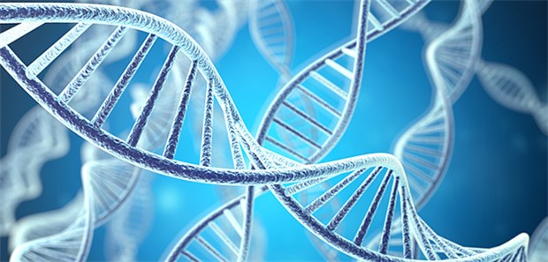 RNA-Therapeutika ist gemeinsam, dass sie die abgelesene Information von Genen auf RNA-Ebene löschen oder modifizieren noch bevor diese in Proteine umgewandelt wird.