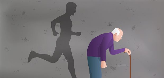 Rapider Verfall: Bis zum Alter von 80 Jahren können Menschen 30 bis 40 Prozent ihrer Muskelmasse einbüßen. Diabetes beschleunigt die Entwicklung der Sarkopenie.