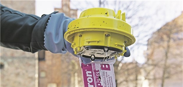 Mit High-Tech-Giftködern gegen die Rattenplage Rattenfalle mit Giftpaket. Der Deckel samt Paket werden auf ein Gefäß gesetzt. Die Ratten werden durch ein Loch im Boden der Falle vom Duft ins Innere gelockt.