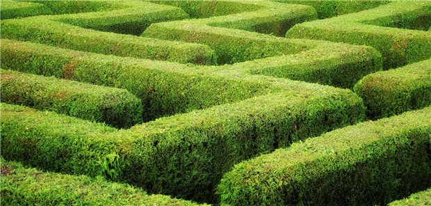 Raus aus dem Konsensus- und Evidenz-Labyrinth: Mit dem NVL-Programm soll es unter dem Dach des Zi weitergehen.