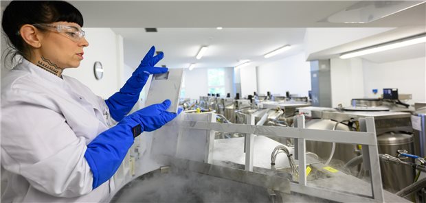 Schneller zur Transplantation bei Leukämie dank Kryo-Stammzell-Bank Rebekka Bernhard, Laborantin in der DKMS Stammzellbank, demonstriert die Lagerung von Blutstammzellen in einem Kryo-Tank mit Stickstoff.