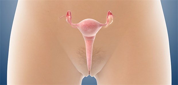 Muss eine Op wirklich immer sein? Rechtfertigen auffällige Adnexbefunde im Ultraschall immer sofort eine Operation?