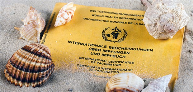 Gelbfieber bei deutschen Touristen entdeckt Reisende nach Brasilien wird eine Gelbfieber-Impfung empfohlen.