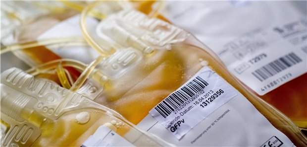 Plasmaspende als Therapie bei COVID-19? Rekonvaleszenten-Plasma könnte eine Option zur Überbrückung sein, bis es Therapie und Impfung gibt.
