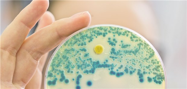 Resistente Bakterien: 2050 könnten zehn Millionen Menschen an Infektionen mit solchen Erregern sterben.