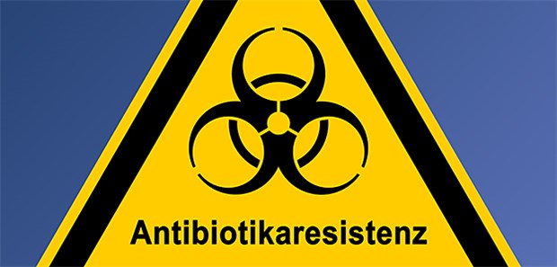 Wie Bakterien Viren für sich nutzen Resistenzen werden wohl auch durch Viren zwischen Bakterien übertragen, so Forscher nach einer Studie.