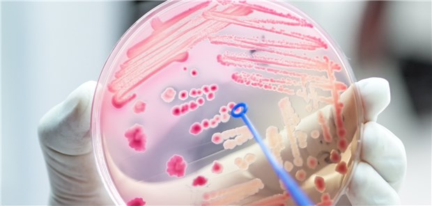 Resistenztestung: Eine Neudefinition soll Unsicherheit bei der Antibiotikatherapie beseitigen.