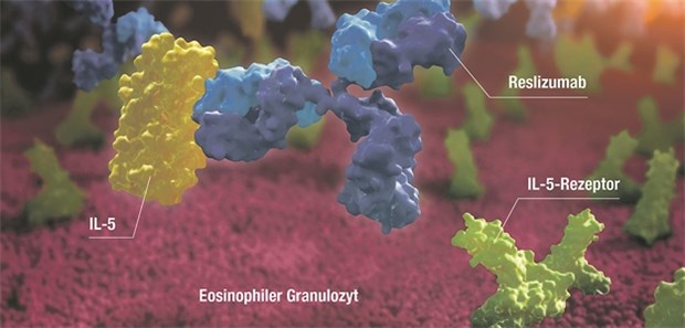 Reslizumab bindet spezifisch IL-5 und verhindert dessen Bindung an dem auf der Zelloberfläche von eosinophilen Granulozyten lokalisierten IL-5-Rezeptor. Dadurch werden Aktivität und Überlebensrate dieser Zellen verringert.