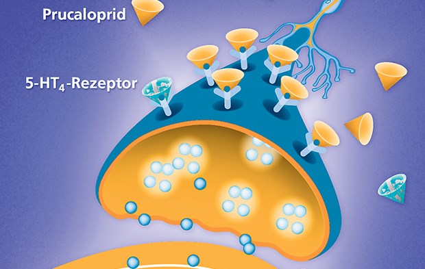 Resolor® (gelb) bindet spezifisch 5-HT4-Rezeptoren und steigert die Darmbeweglichkeit.