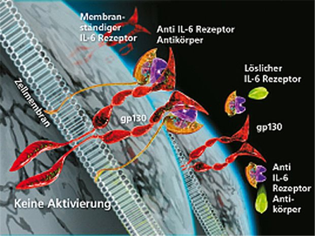 RoACTEMRA® (Tocilizumab) hemmt ein Schlüssel- enzym bei Rheumatoider Arthritis. © Roche Pharma