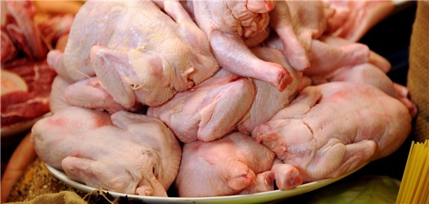Salmonellen am häufigsten schuld an Krankheitsausbrüchen Rohe Hähnchen – eine typische Quelle für Magen-Darm-Infektionen durch Salmonellen, wenn nicht auf entsprechende Hygiene und Kühlung geachtet wird.