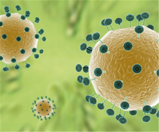 Rotavirus-Impfung nützt Nichtgeimpften Rotaviren: Impfen hilft.