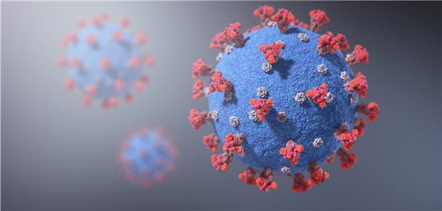 Wie gefährlich sind mutierte SARS-CoV-2-Viren? SARS-CoV-2-Virus: Denkbar ist, dass sich das Virus im Gefolge systematischer Eindämmungsmaßnahmen verändert.